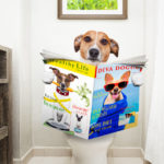 Best Indoor Dog Potty Picks for Large and Small Dogs with Reviews