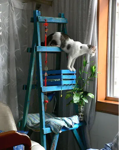 Karin Cat Tree Made From Old Wooden Ladder