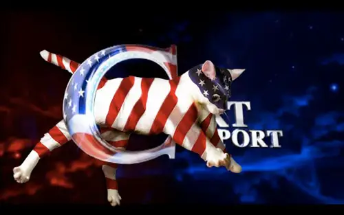 Colbert Report Cat Intro