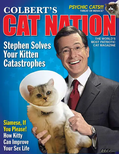 Colbert's Cat Nation magazine