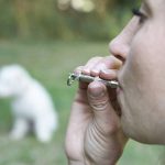 Do Dog Whistles Hurt Your Dog’s Ears?