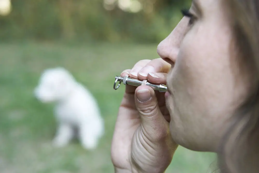 dog owner using a dog whistle