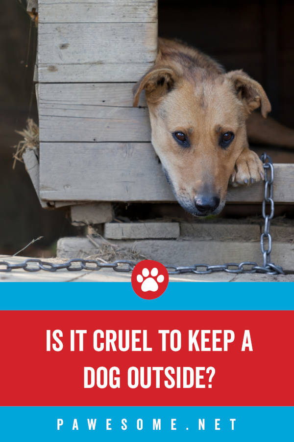 Is It Cruel To Keep Dogs Outside At Night