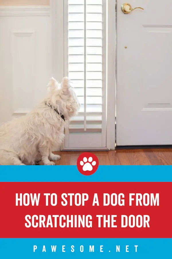 how do i stop my dog from scratching the door