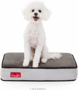 Brindle Waterproof Memory Foam Dog Bed
