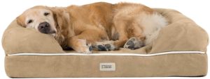 Friends Forever Orthopedic Dog Bed