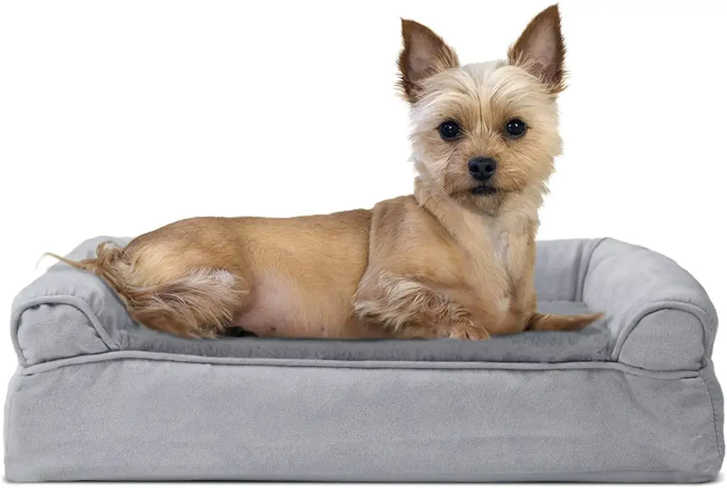 5 of the Best Dog Beds for Westies Reviews & Buying Guide