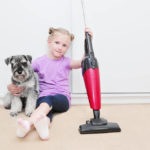 Best Cordless Vacuum for Pet Hair: Top 5 Reviews of Stick and Handheld Vacuums
