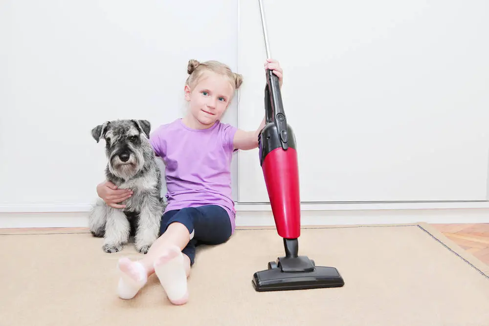 Girl holding dog with cordless pet vacuum