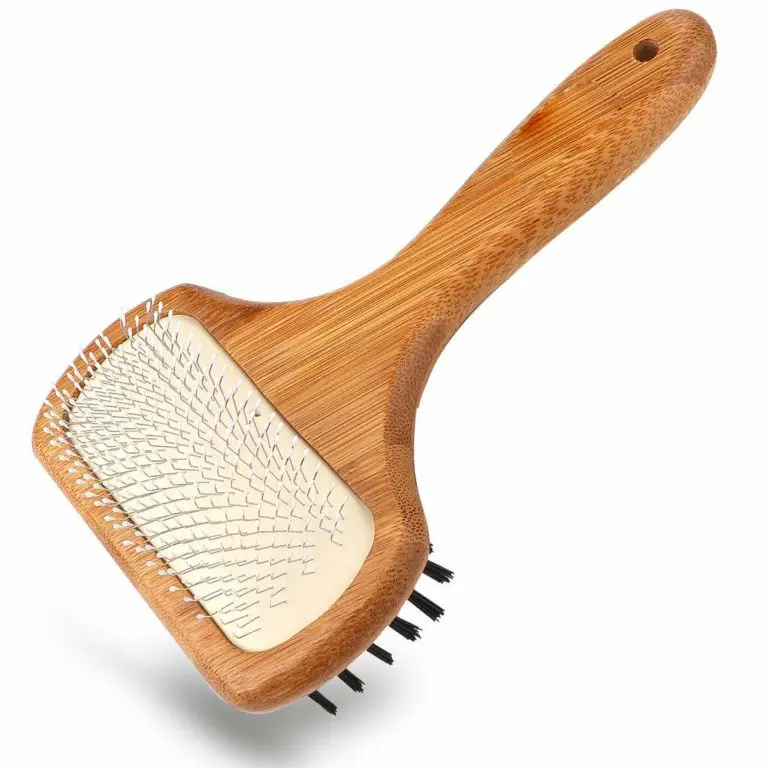 Best Brush for Westies Tips, Tricks & Reviews