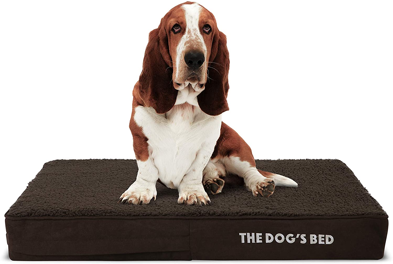 5 of the Best Dog Beds for Westies Reviews & Buying Guide
