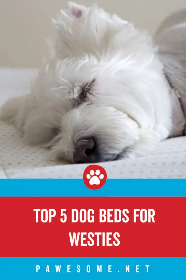 Top 5 Dog Beds for Westies
