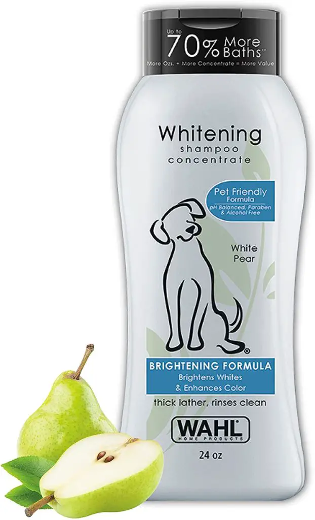 Best Shampoo for Westies (Top Picks & What to Look For)