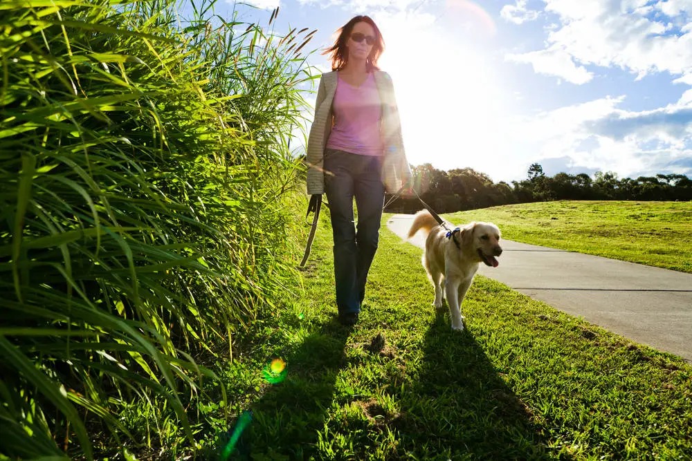 Woman walking her dog