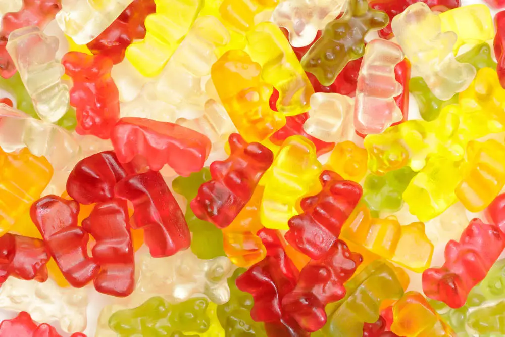 gummy bears bad for dogs