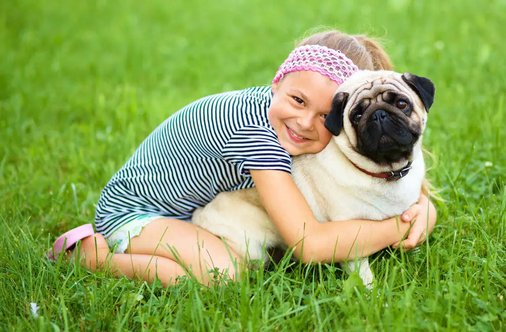 Pug sitting in grass with little girl