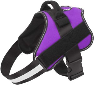 Bolux No Pull Dog Harness
