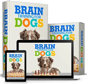 brain-training-for-dogs Brain Training for Dogs