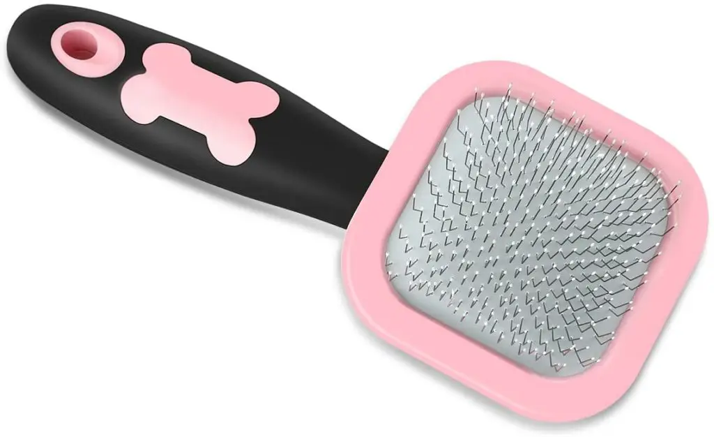 Best Brush for Maltese Brush Types + Top 5 Reviews