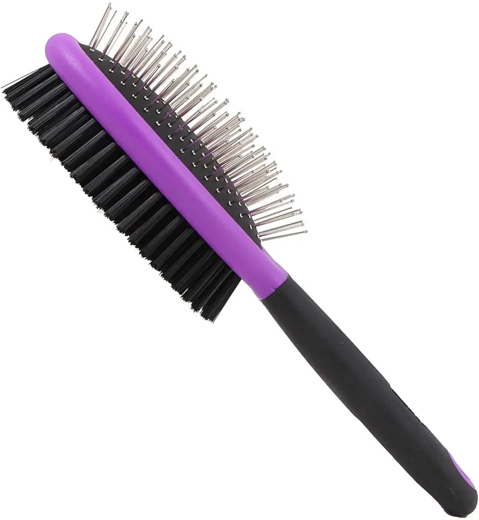 Best Brush for Maltese Brush Types + Top 5 Reviews