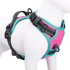Phoepet No Pull Dog Harness