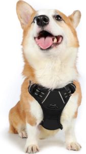 Rabbitgoo No Pull Dog Harness