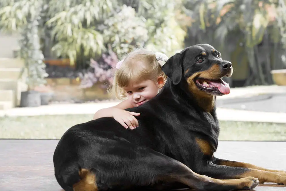 Happy Rottweiler with a kid