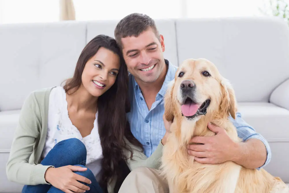 Happy couple with their new Golden Retriever