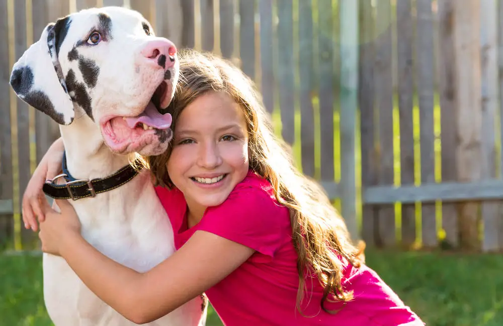 Girl hugging her Great Dane