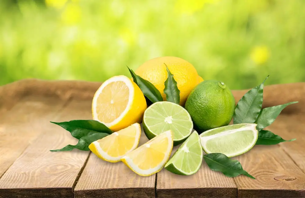 are lemon and lime poisonous to dogs