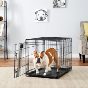 MidWest LifeStages Single Door Dog Crate