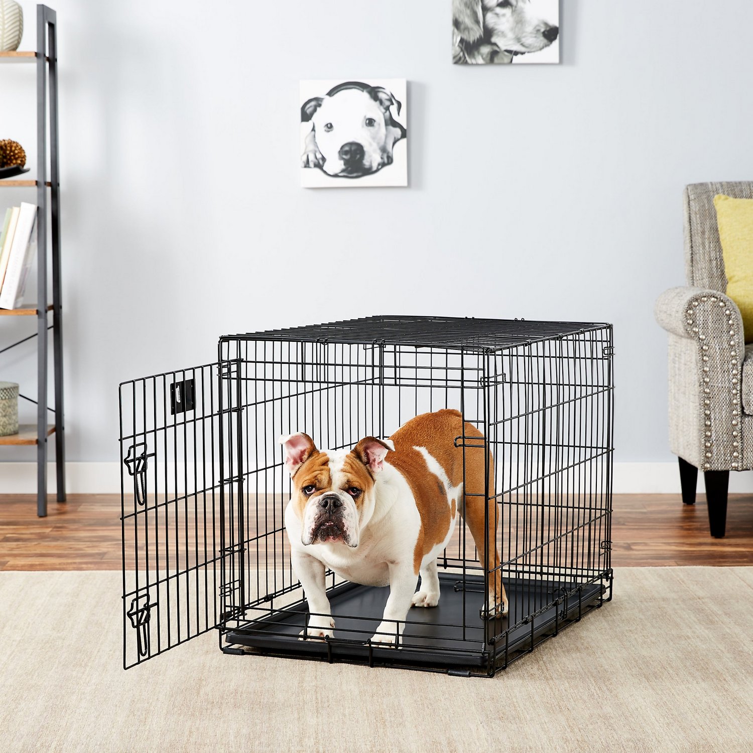 Best Dog Crates for Westies What Size, Top Picks & More