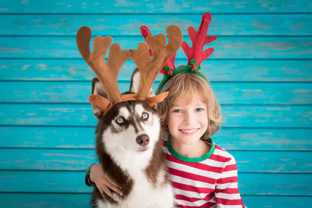 Husky and child wearing reindeer antlers