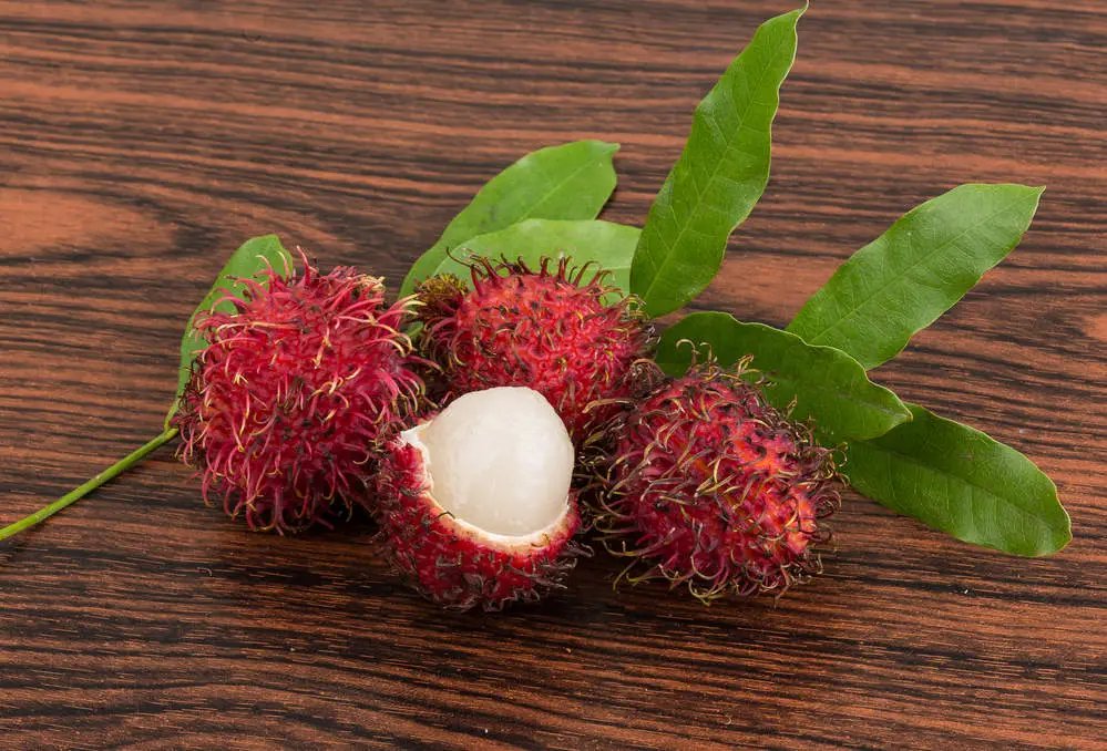 fresh Rambutan fruit