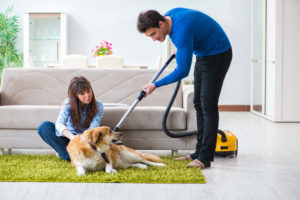 Vacuuming the dog