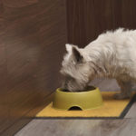 Best Dog Food for Westies: Top 11 Picks and Buyer Guide