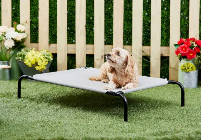 Frisco Steel-Framed Elevated Outdoor Dog Bed