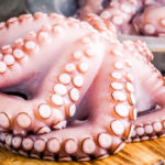 Can Dogs Eat Octopus?