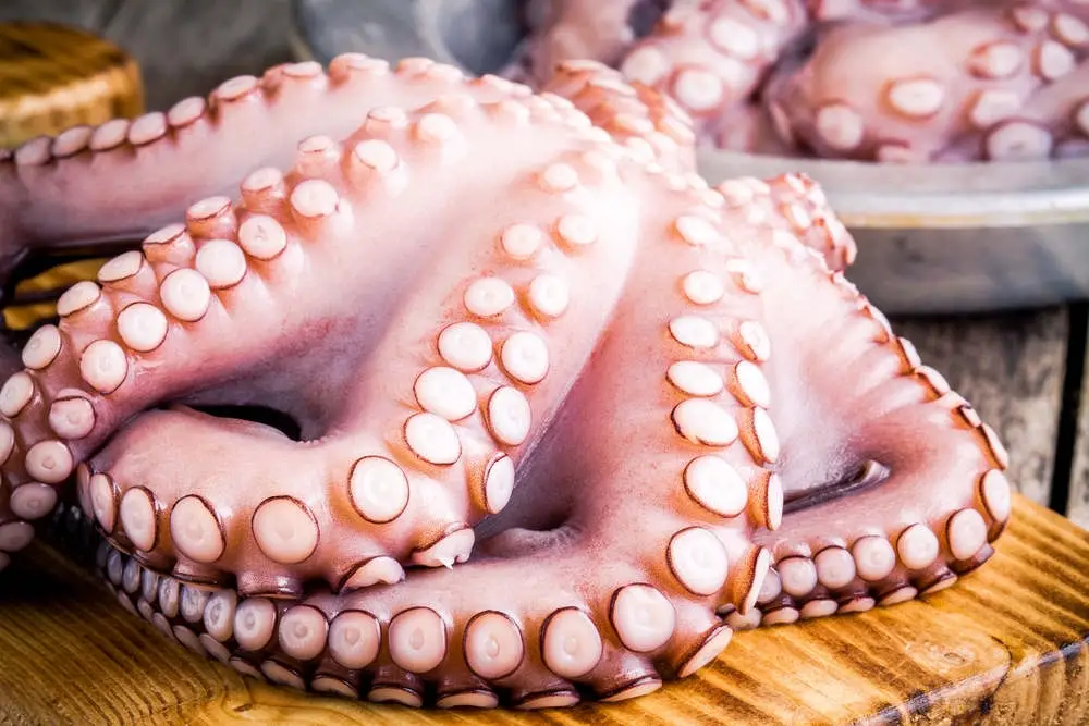 Raw octopus on cutting board