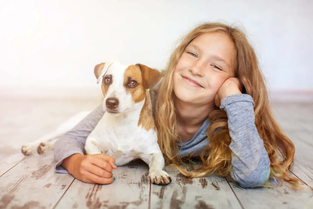 Jack Russell with kid