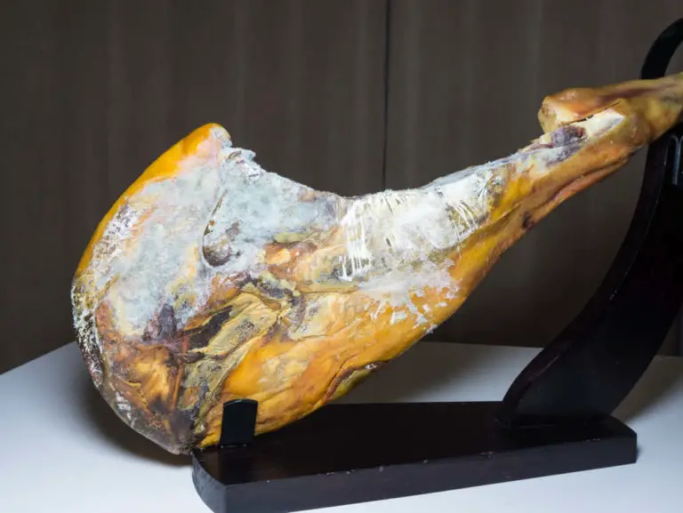 Can Dogs Eat Spoiled Meat? What You Need to Know