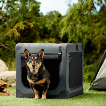 Frisco Indoor/Outdoor Soft Sided Dog Crate