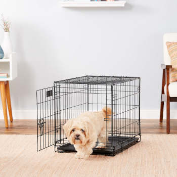 Midwest iCrate Fold and Carry Wire Dog Crate