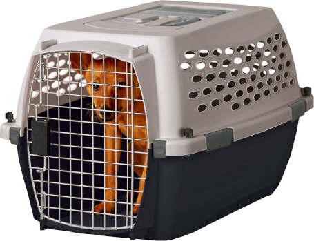 Petmate Vari Dog Crate