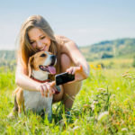 Can Dogs See Phone Screens?