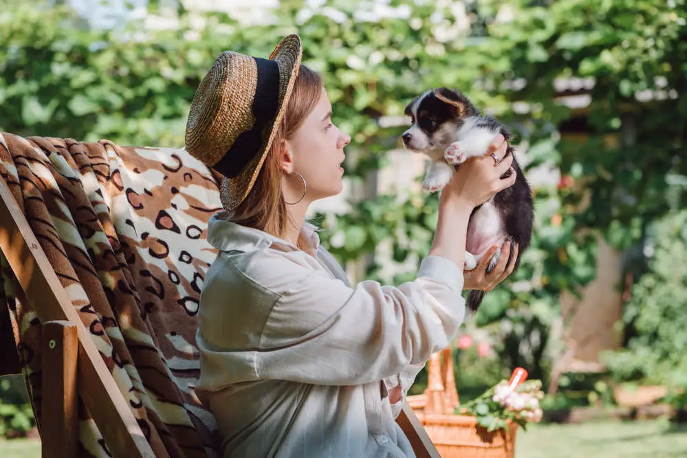 Dog owner holding puppy