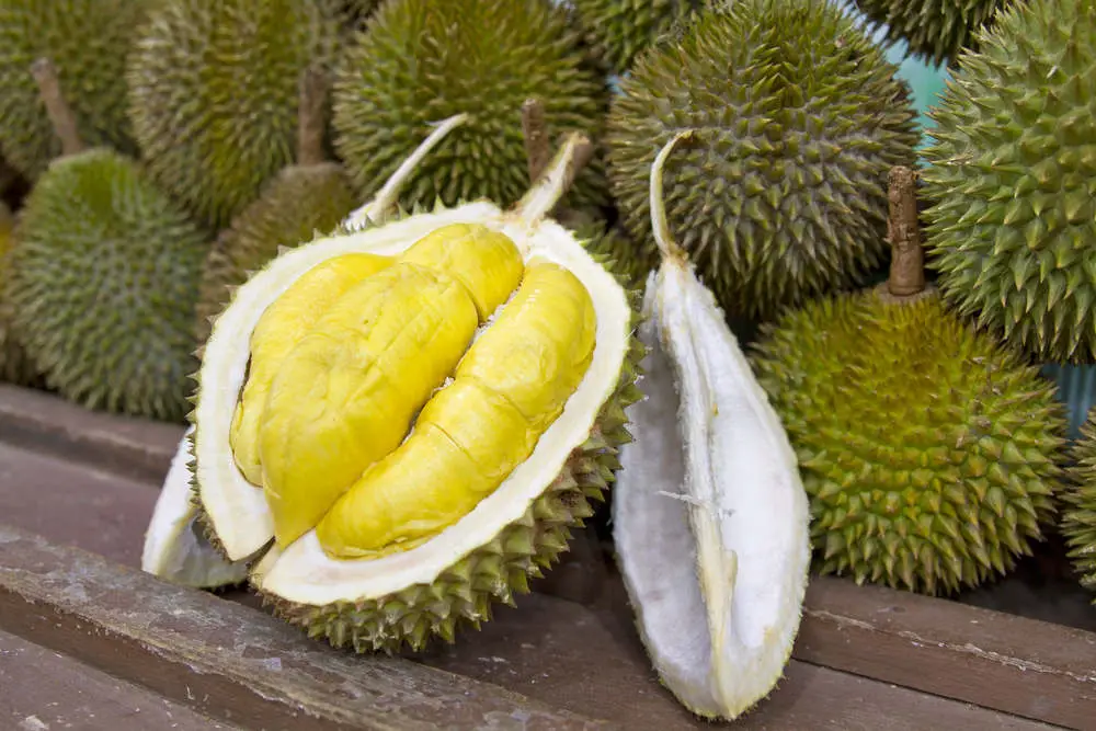 Durian fruit