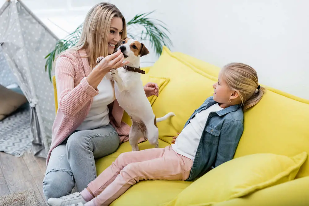 Jack Russell with family