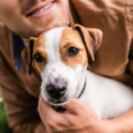 Jack Russell Terrier with owner