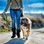 Woman taking dog on a walk